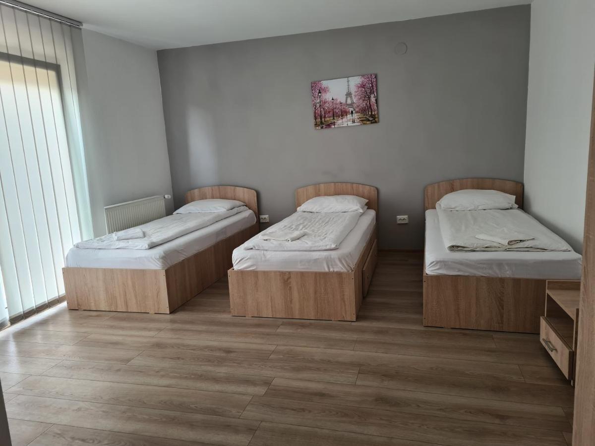 Pensiunea Andreea Hotel Giarmata Luaran gambar